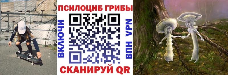 Псилоцибиновые грибы Magic Shrooms  omg вход  Краснозаводск 